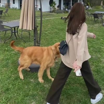 迷宫标记者